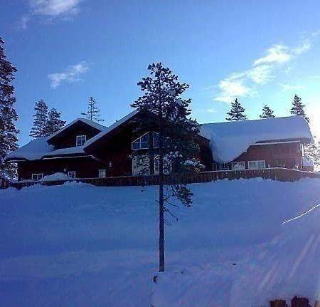 Flott Utleiehytte Pa Gautefall Treungen Exteriér fotografie