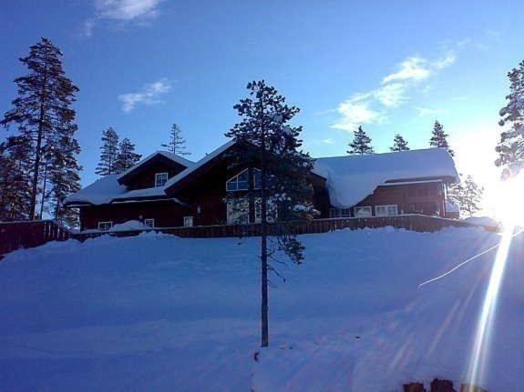 Flott Utleiehytte Pa Gautefall Treungen Exteriér fotografie